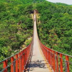 Seoul and Suburbs Private Customized Tour - Exploring the Major Stops