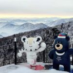 Seoul: Balwangsan Cable Car & Samyang Ranch One Day Tour - Practical Details and Tips