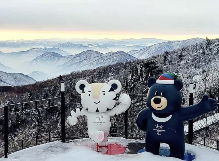 Seoul: Balwangsan Cable Car & Samyang Ranch One Day Tour - Practical Details and Tips