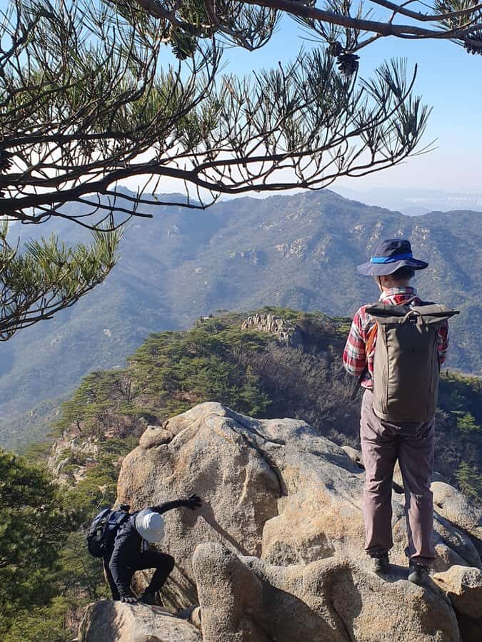 Seoul: Bukhansan National Park Private Trekking Tour - What Makes This Tour Stand Out?