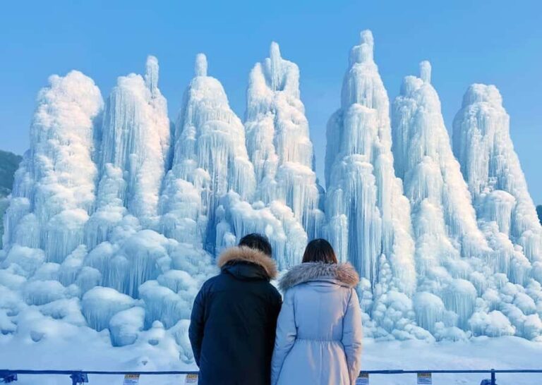 Seoul: Cheongyang Ice Festival & Strawberry Picking - The Sum Up: Is This Tour Worth It?
