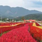 Seoul: Cheorwon DMZ & 2nd Tunnel Small Group Tour - Final Thoughts: Who Is This Tour Perfect For?