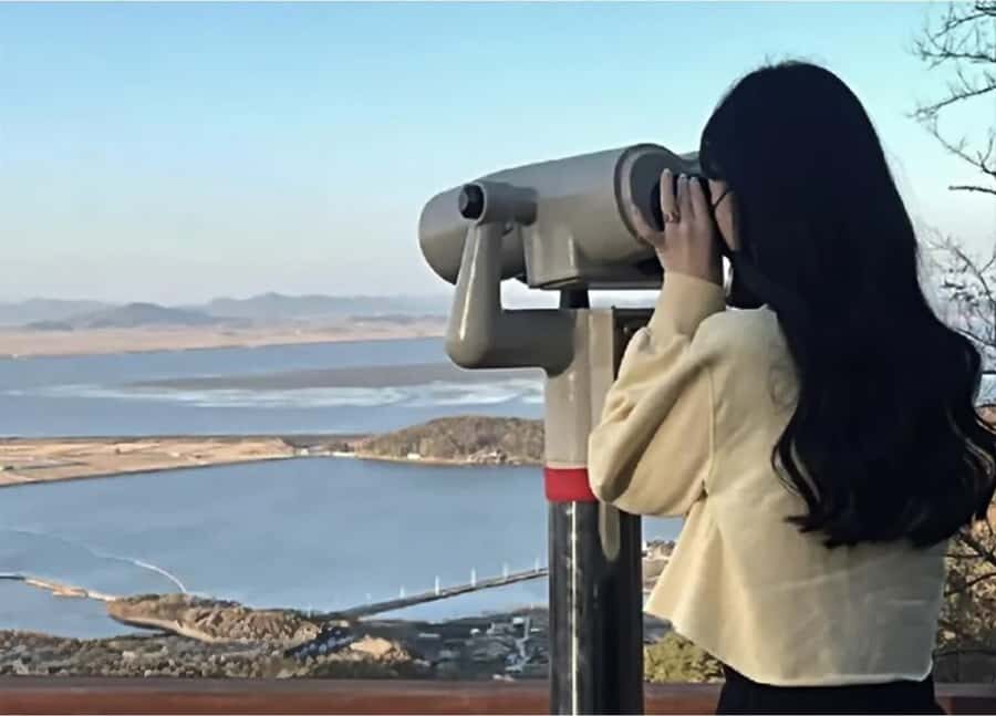 Seoul: Cheorwon DMZ & 2nd Tunnel Small Group Tour - What Makes This Tour Stand Out?