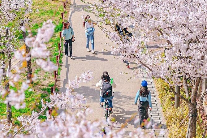 Seoul Cherry Blossom Walking Tour to Gyeongui Line Park - Authentic Experiences From Reviews