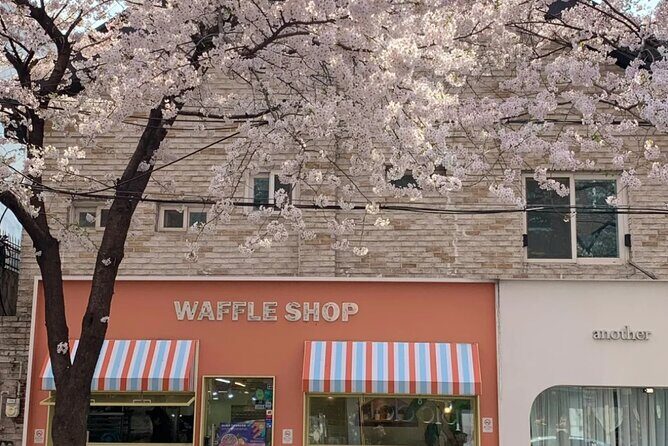 Seoul City Cherry Blossom Private Sightseeing Tour - What Makes This Tour Stand Out?