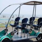 Seoul: Coastal Rail Bike, Sorae Park and Fairytale Village - Ferry Ride and Seagull Feeding: A Coastal Cruise