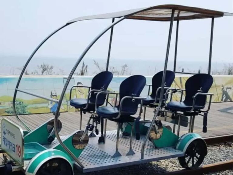 Seoul: Coastal Rail Bike, Sorae Park and Fairytale Village - Ferry Ride and Seagull Feeding: A Coastal Cruise