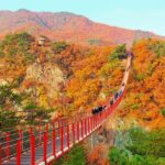 Seoul: DMZ, 3rd Tunnel, Suspension Bridge Small Group Tour - Exploring the Tour Itinerary in Detail