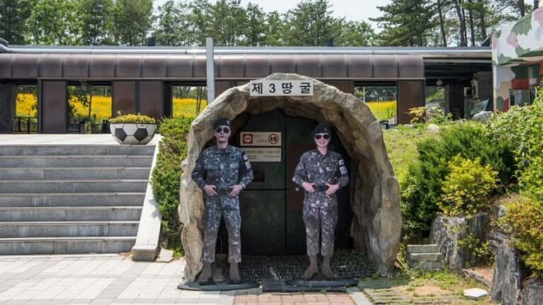 Seoul: DMZ Private Tour, 3rd Tunnel, and Suspension Bridge - What the Tour Offers in Terms of Value