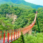 Seoul: DMZ The 3rd Tunnel and Suspension Bridge Tour - The Value of the Tour
