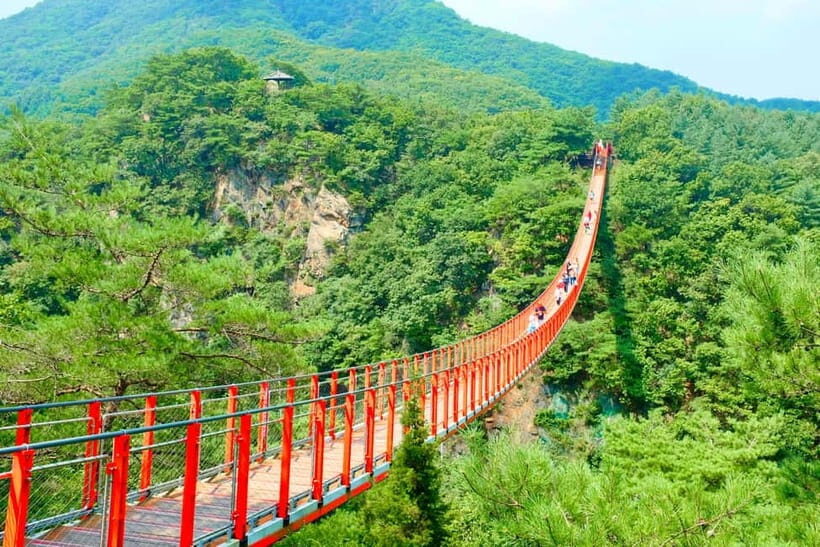 Seoul: DMZ The 3rd Tunnel and Suspension Bridge Tour - The Value of the Tour