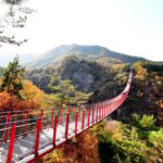 Seoul: DMZ Tour with Optional Suspension Bridge - Imjingak Park and Bridge of Freedom