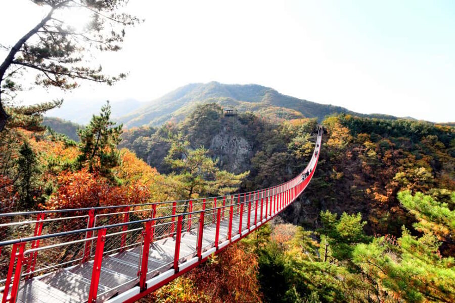 Seoul: DMZ Tour with Optional Suspension Bridge - Imjingak Park and Bridge of Freedom
