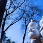 Seoul: Elysian Gangchon Winter Ski with Nami Island Day Tour - Practical Details and Tips
