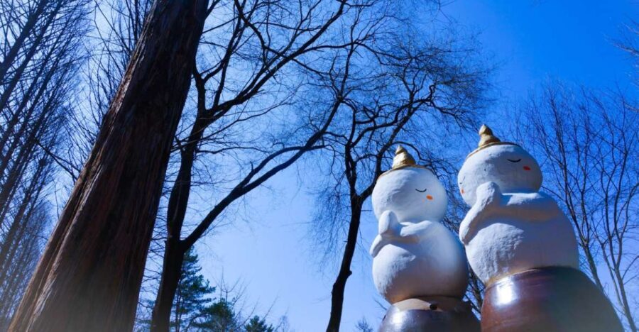 Seoul: Elysian Gangchon Winter Ski with Nami Island Day Tour - Practical Details and Tips  
