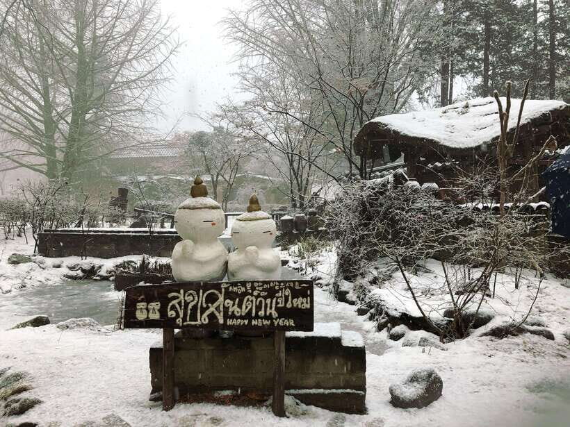Seoul: Elysian Ski + Eobi Ice Valley + Nami - Tour Options and Practical Details