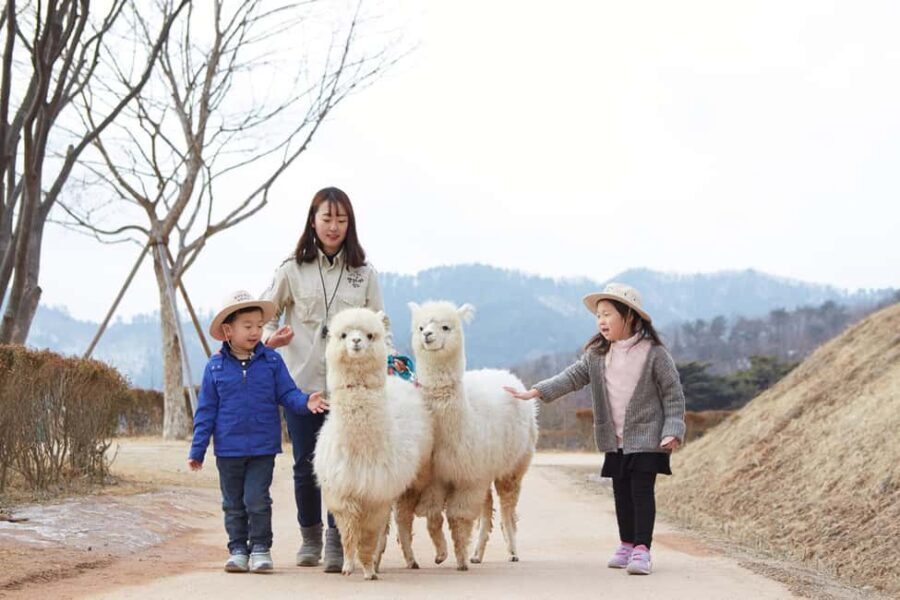Seoul: Eobi Ice Valley, Alpaca World, Nami Island and More - Authenticity and Experience