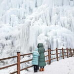 Seoul: Eobi+Nami+Hanbok(+RailBike or Strawberry Options)Tour - A Deep Dive into the Tour Experience