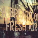 Seoul Film Camera Club - Why This Tour Works for Travelers