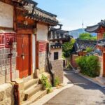 Seoul Fun Private Tour (customizable) - Authentic Insights from Reviewers