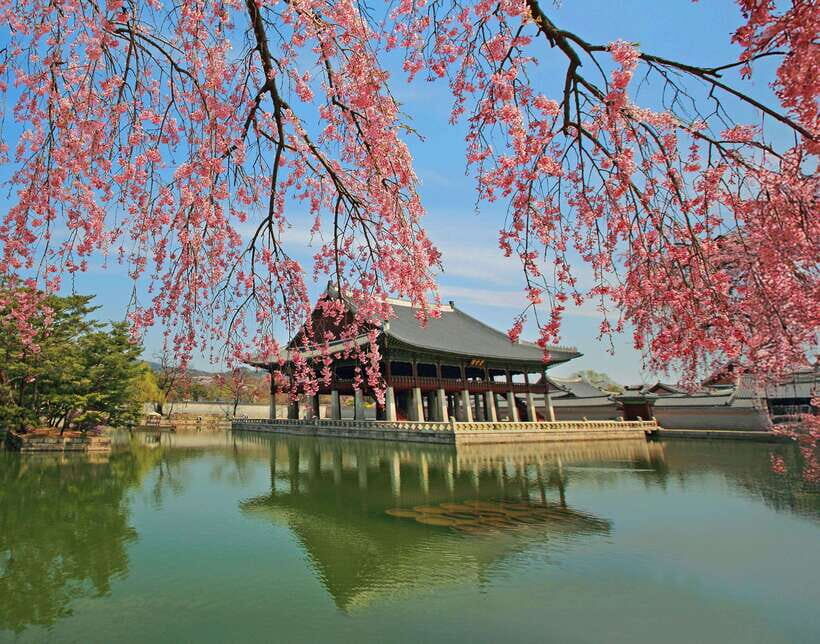 Seoul: Gyeongbok Palace, N Seoul Tower (with Cable Car) - The Real Value in This Tour