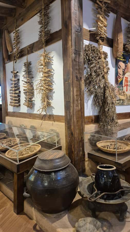 Seoul: Hidden Markets & Herbal Wellness Small Group Tour - The Oriental Medicine Museum: A Deep Dive into Korean Healing Arts