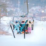 Seoul: Jisan Forest Ski Resort and Everland 1 Day Tour - Who This Tour Is Best For