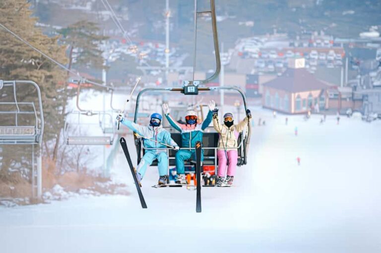 Seoul: Jisan Forest Ski Resort and Everland 1 Day Tour - Who This Tour Is Best For
