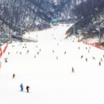 Seoul: Jisan Forest Winter Ski Day Tour with Basic Lesson - Final Thoughts