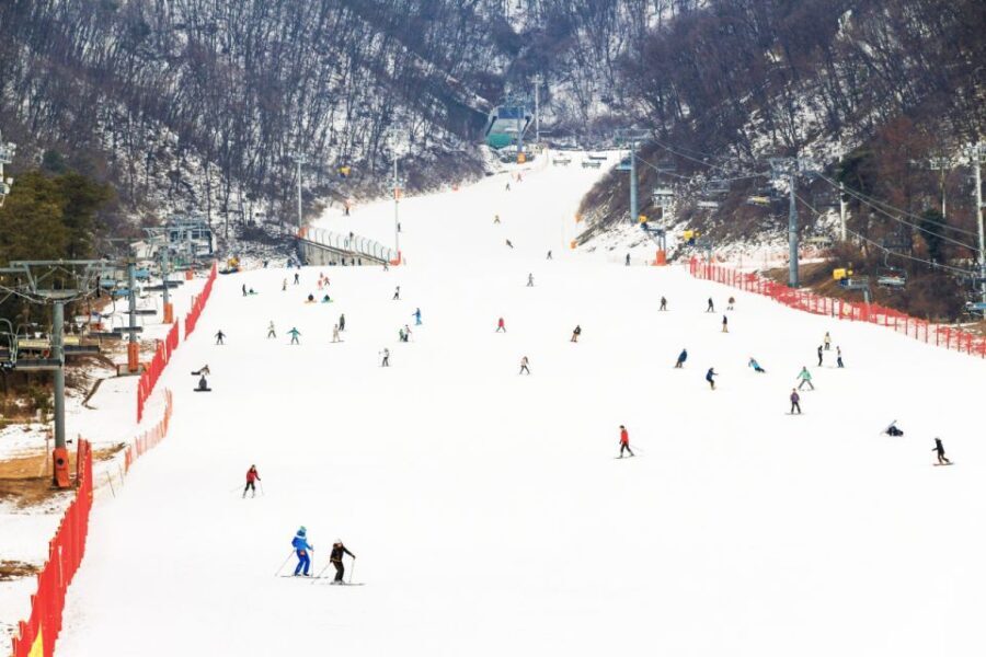 Seoul: Jisan Forest Winter Ski Day Tour with Basic Lesson - Final Thoughts