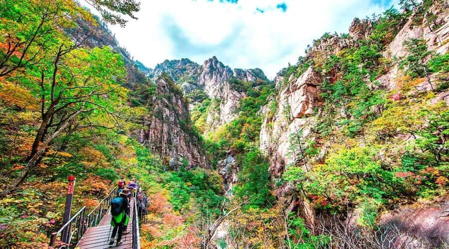 Seoul: Mt.Seorak & Naksan Temple Day Trip from Seoul - Exploring Seoraksan National Park