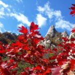 Seoul: Mt.Seorak, Nami Island, No Shopping(+RailBike Option) - The Itinerary Breakdown: What to Expect