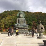 Seoul: Mt.Seorak(+CableCar Option)+Sokcho Fish Market&Beach - Practical Details & Tips