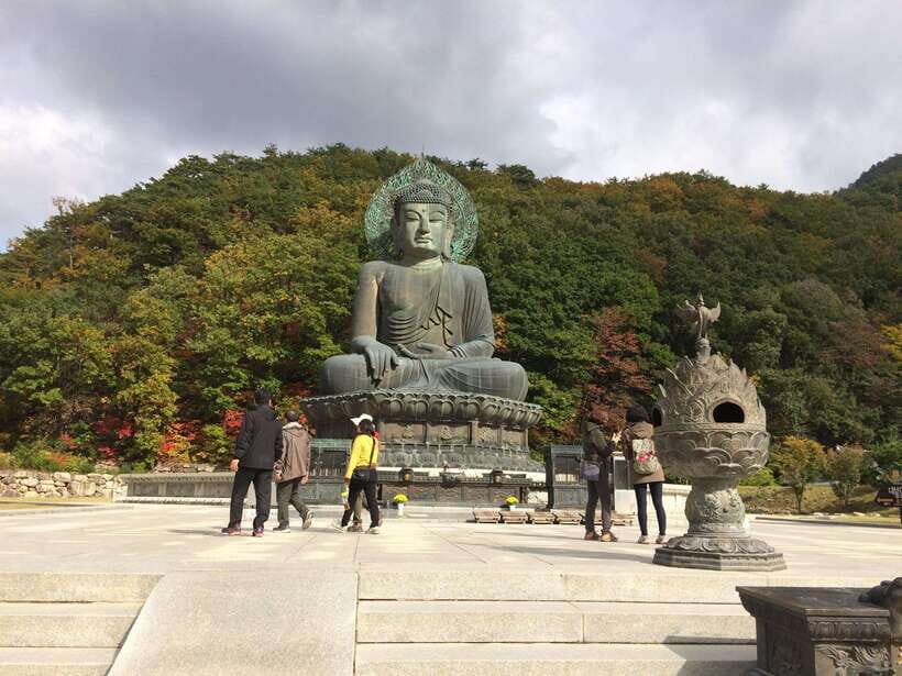 Seoul: Mt.Seorak(+CableCar Option)+Sokcho Fish Market&Beach - Practical Details & Tips