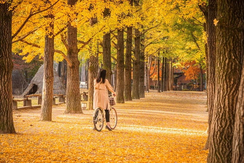 Seoul: Nami Island and Garden of Morning Calm (opt Railbike) - The Experience: What Sets This Tour Apart