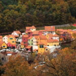 Seoul: Nami Island, Garden and Petite France (opt Railbike) - What’s Included & What You Should Budget For