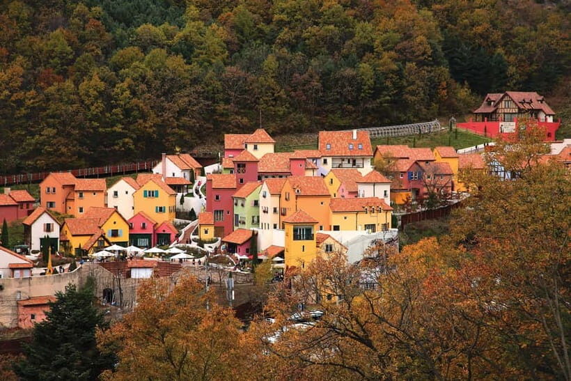 Seoul: Nami Island, Garden and Petite France (opt Railbike) - What’s Included & What You Should Budget For