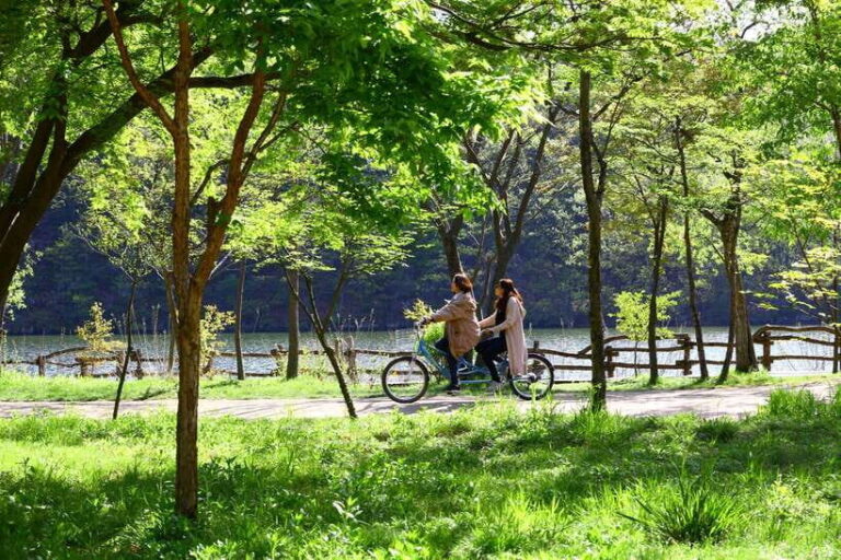 Seoul: Nami Island & Petite France Tour with Railbike Option - Real Experiences and Authentic Impressions