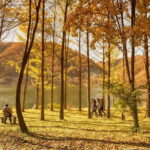 Seoul: Nami+Hanbok+Waterfall(+RailBike or Strawberry)Tour - The Itinerary Breakdown: What to Expect