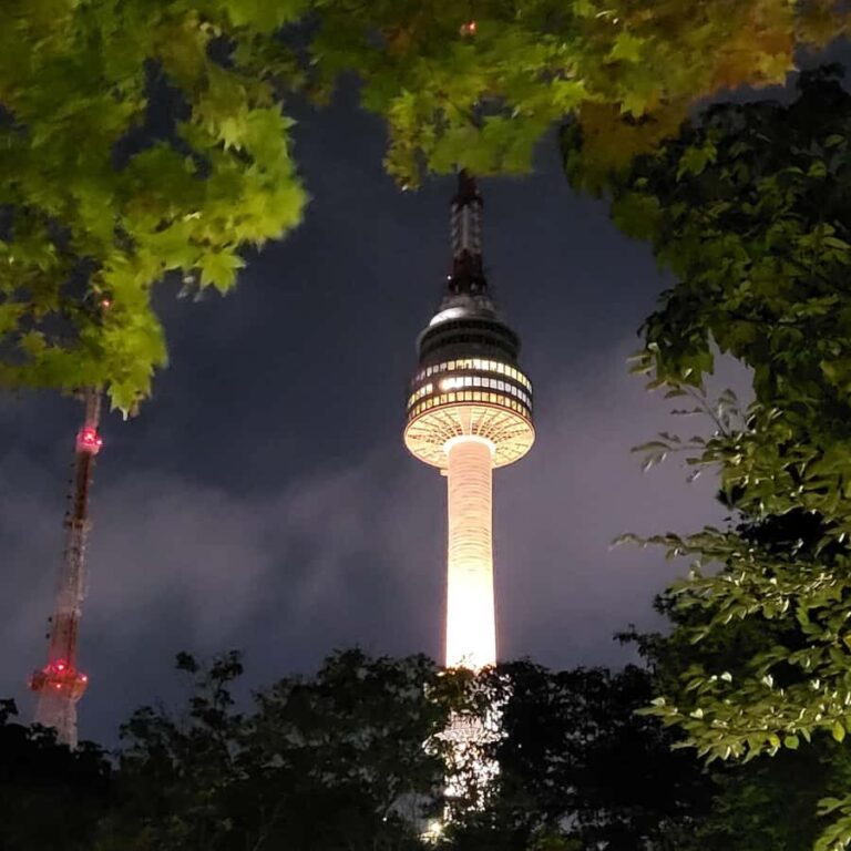 Seoul Night Views: Semi-Guided Audio Tour - Who Should Consider This Tour?