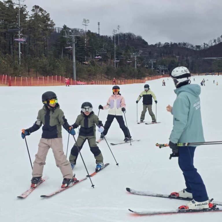 Seoul: Oak Valley Private Ski Day Tour - What to Expect on the Day