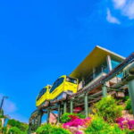 Seoul: Pocheon Art Valley, Garden and Fruit Picking Day Tour - Value and Practicality