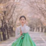 Seoul: Premium Hanbok Photo in Seoul by Sony Award Pro - The Venue & Cultural Context