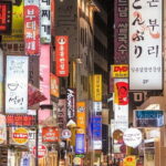 Seoul Private Food walking Tour with a Guide - The Sum Up