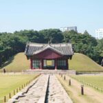Seoul: Private Guided Tour to Royal Tombs, Temples, and More - Discovering Seoul’s Layers: A Deep Dive into the Tour Experience