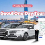 Seoul: Private One Day Car Charter - Detailed Breakdown of the Itinerary Options