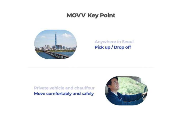 Seoul: Private Shopping Tour - What to Expect from the Seoul Private Shopping Tour