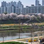 Seoul Riverside Walk and Korean-Style Picnic Experience - Final Thoughts: Who Should Consider This Tour?