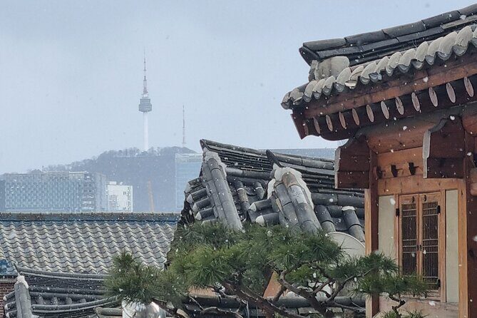 Seoul Royal Palaces and Hidden Gems Customizable Private Tour - A Deep Dive into the Itinerary