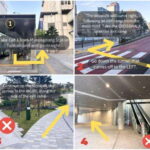 Seoul: Samaksan Cable Car & Nami with Alpaca World/Railbike - Is It Worth The Price?